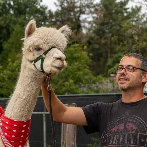 Workshop Alpacahouderij - Zaterdag 30 November